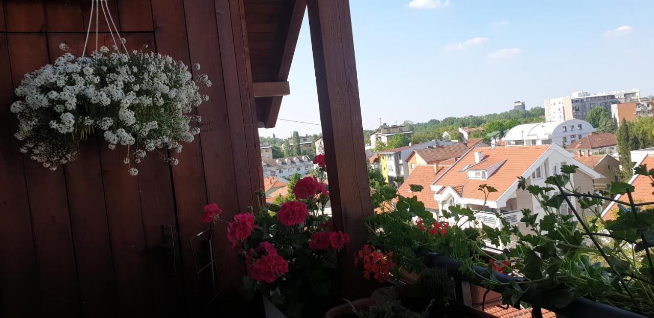 Apartmani Emerald Dream Novi Sad Esterno foto
