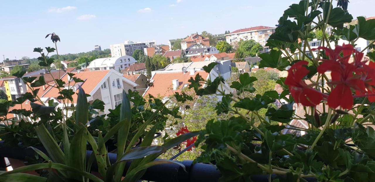 Apartmani Emerald Dream Novi Sad Esterno foto