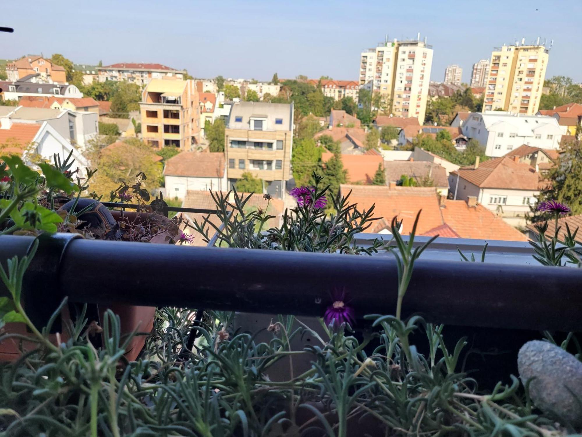 Apartmani Emerald Dream Novi Sad Esterno foto